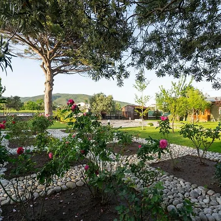 Kyzikos Oasis Villa Erdek